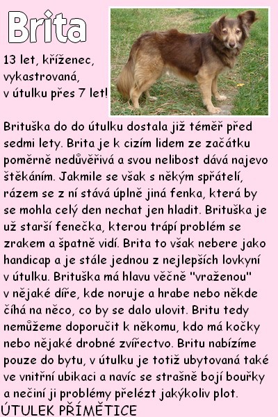 brita.jpg