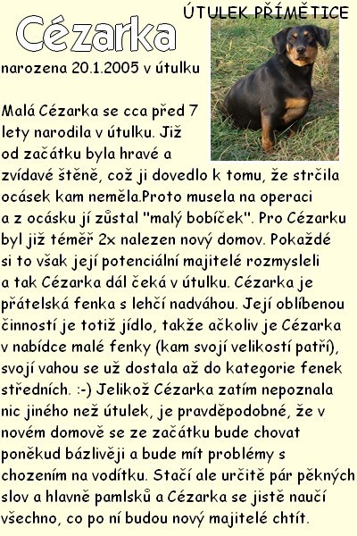 cezarka.jpg