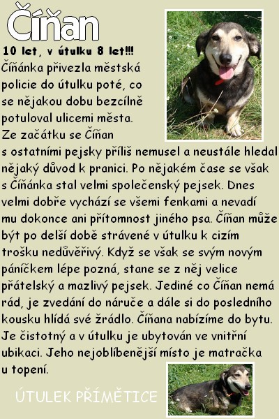 cinan.jpg