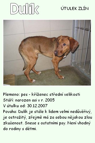 dulik.jpg