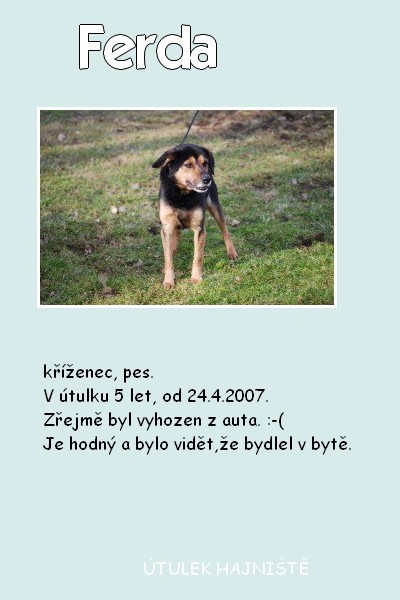 ferda.jpg