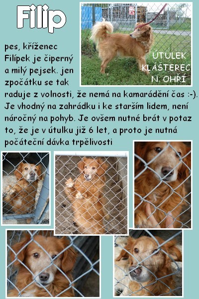 filip.jpg