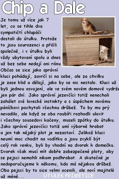 chip-a-dale.jpg