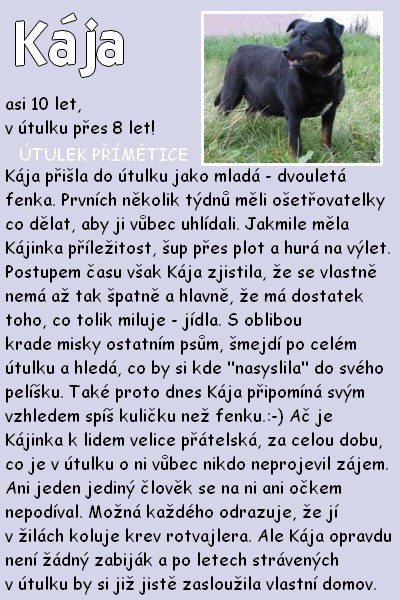 kaja.jpg