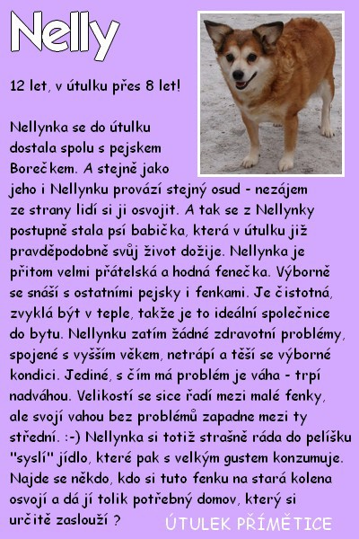 nelly.jpg