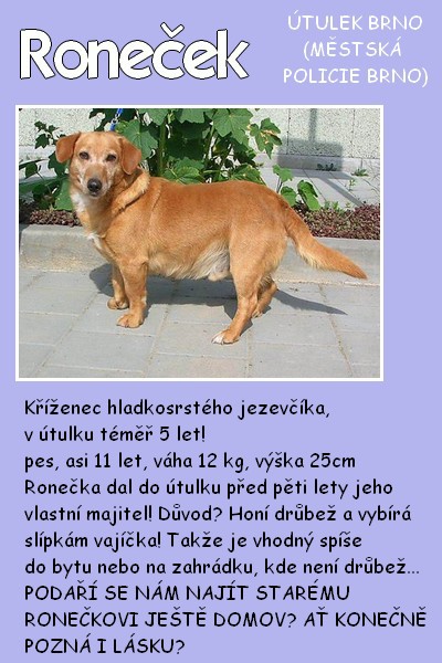 ronecek.jpg