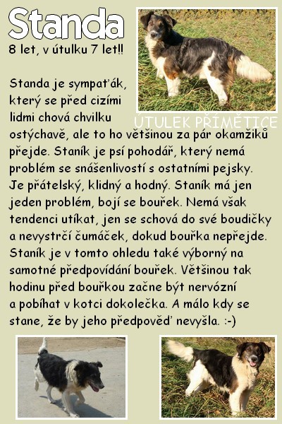 standa.jpg