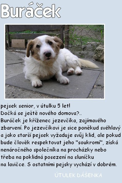 buracek.jpg
