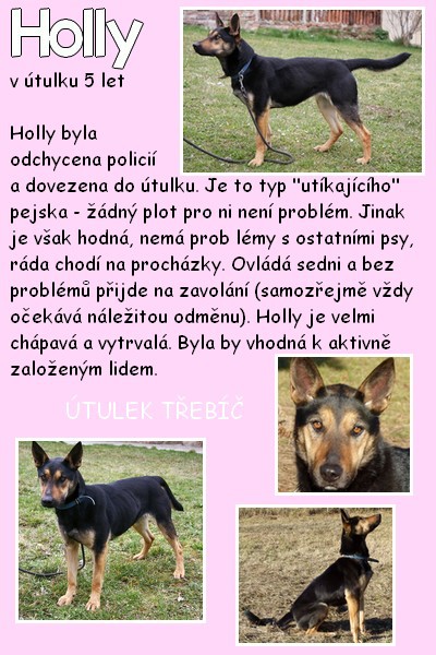 holly.jpg