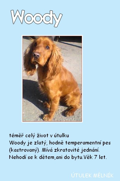 woody.jpg